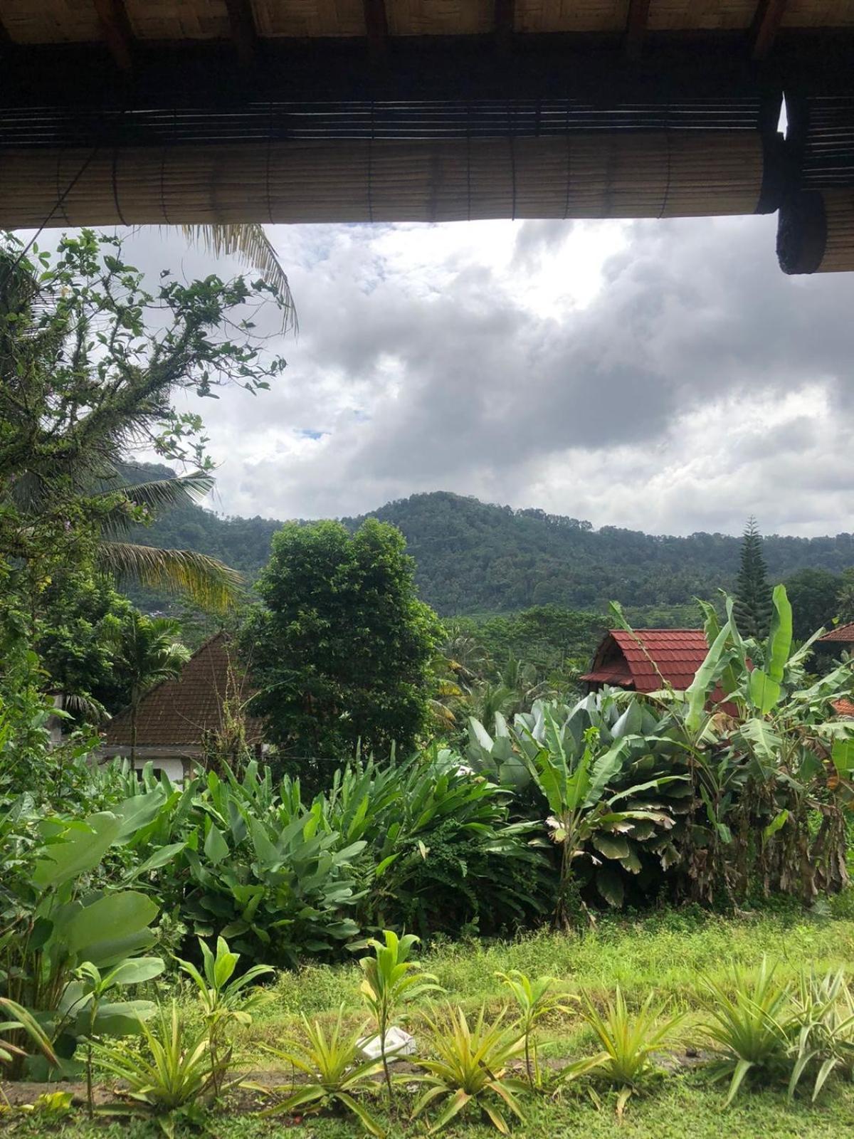 D'Janu Homestay Sidemen  Exterior foto