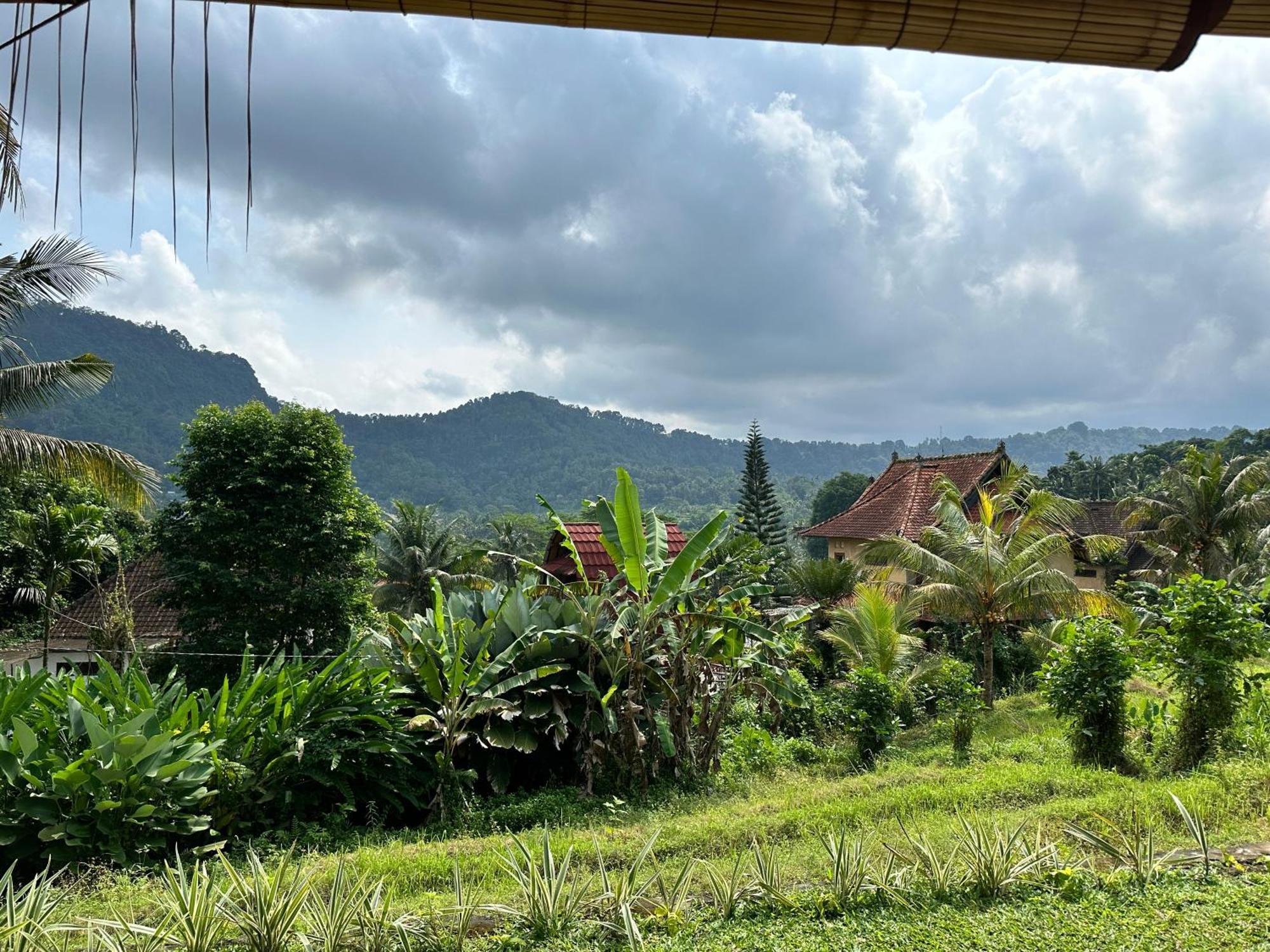 D'Janu Homestay Sidemen  Exterior foto